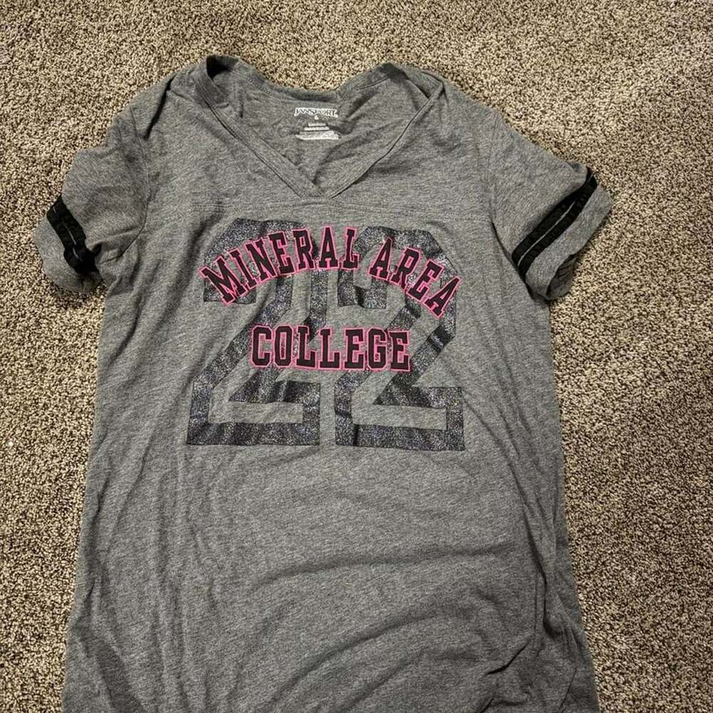 JanSport Mineral Area College T-Shirt Size L Gray V-Neck Graphic Tee